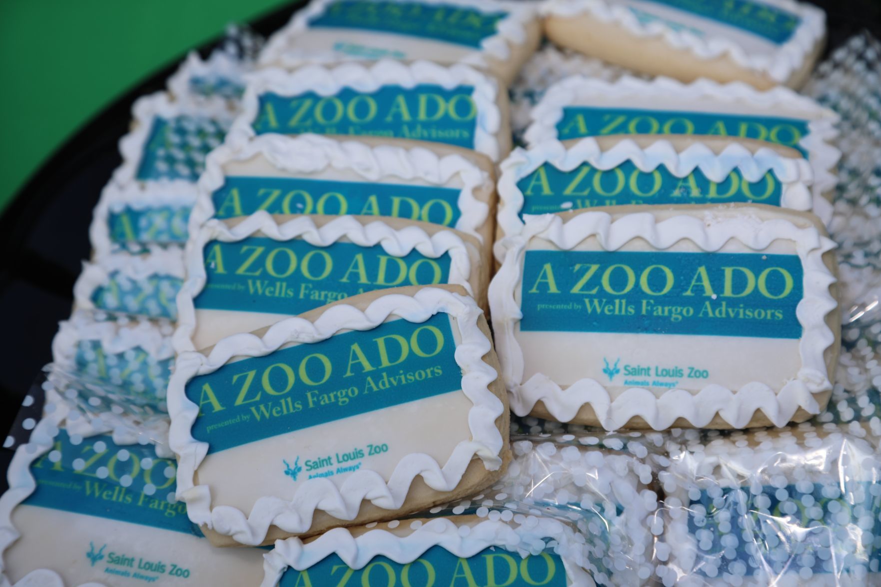 2018-Zoo-Ado-023.JPG